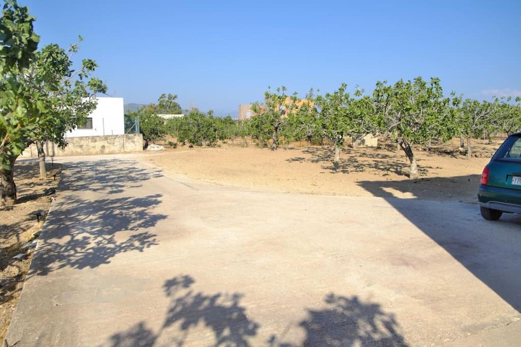 Willa Nick'S House Aegina Zewnętrze zdjęcie
