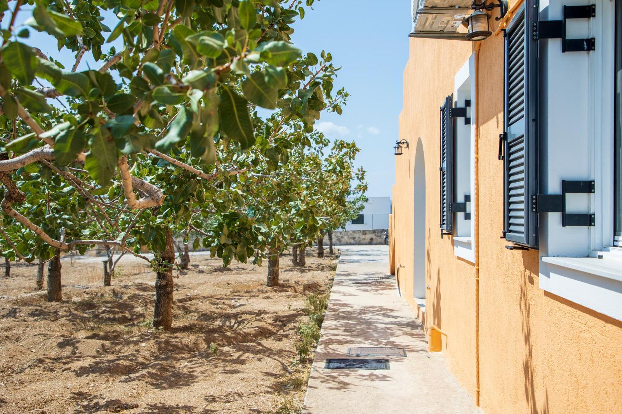 Willa Nick'S House Aegina Zewnętrze zdjęcie